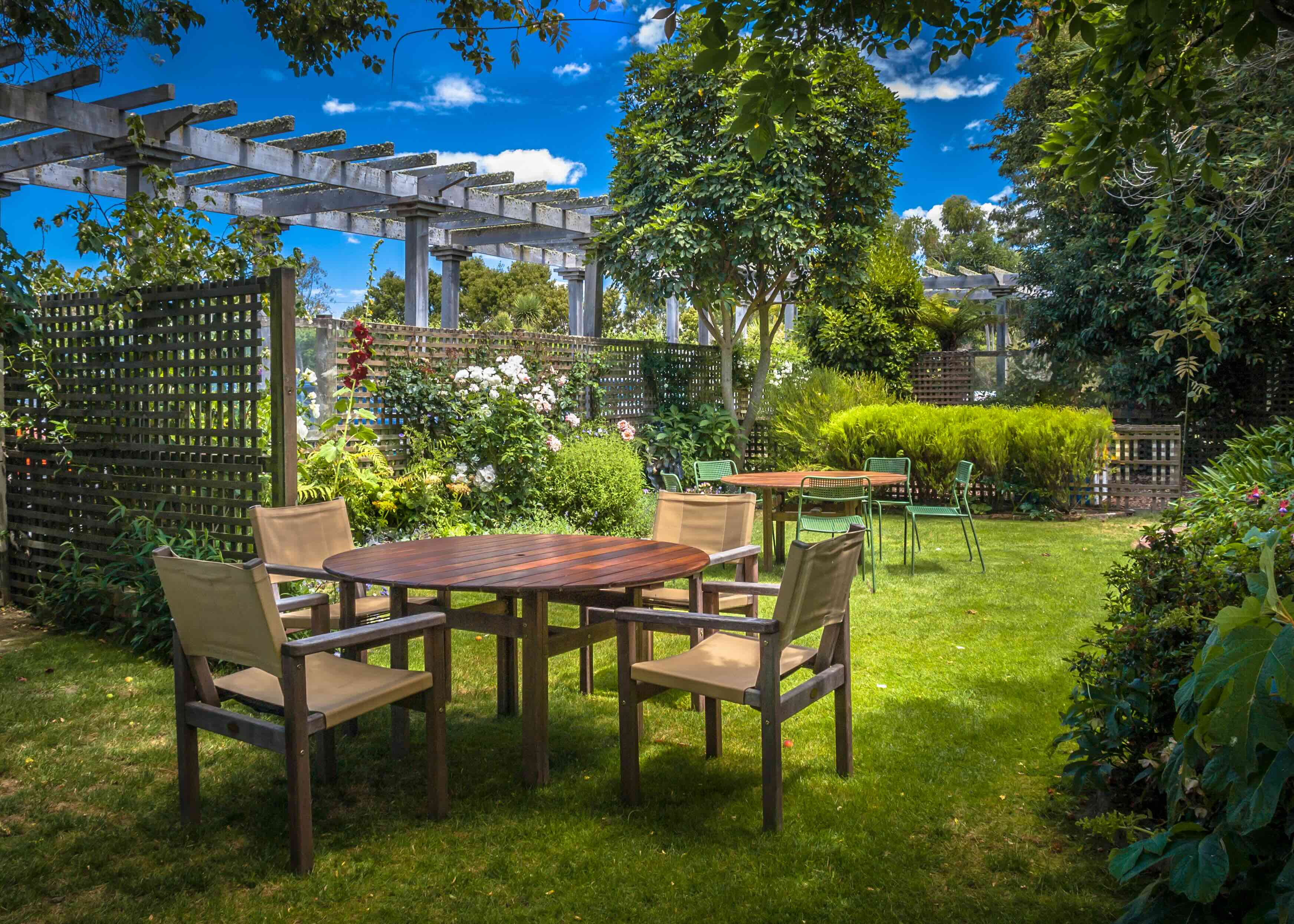 Backyard Oasis: Creating a Relaxing Space on a Budget